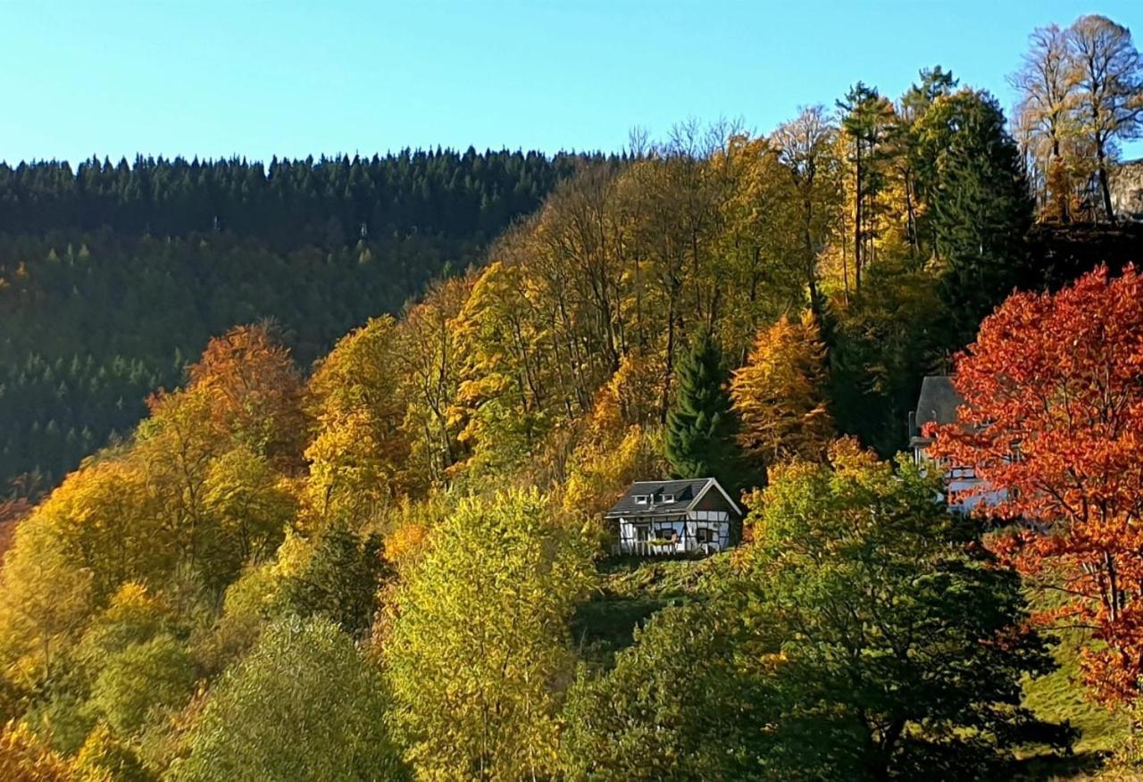 Jagthaus Am Rappelstein Villa Schmallenberg Bagian luar foto