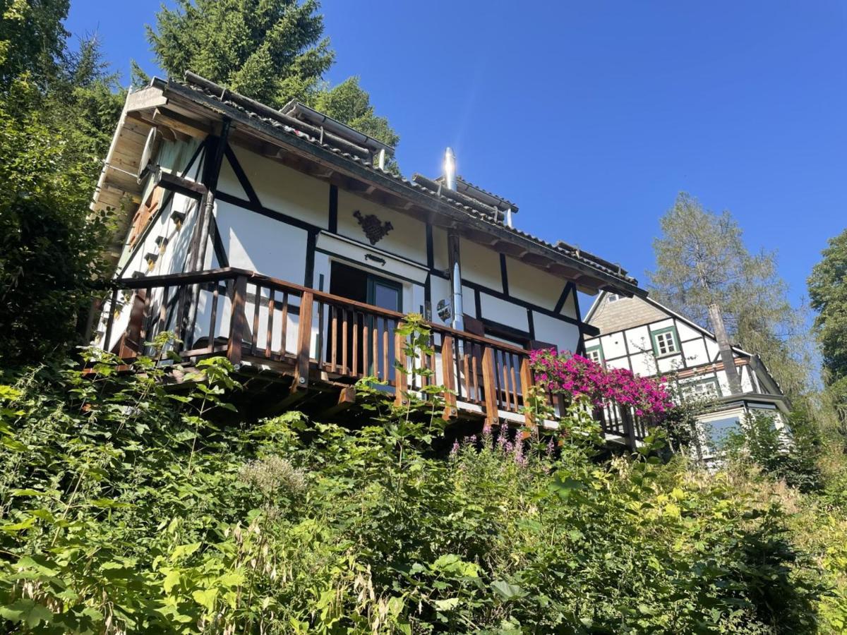 Jagthaus Am Rappelstein Villa Schmallenberg Bagian luar foto