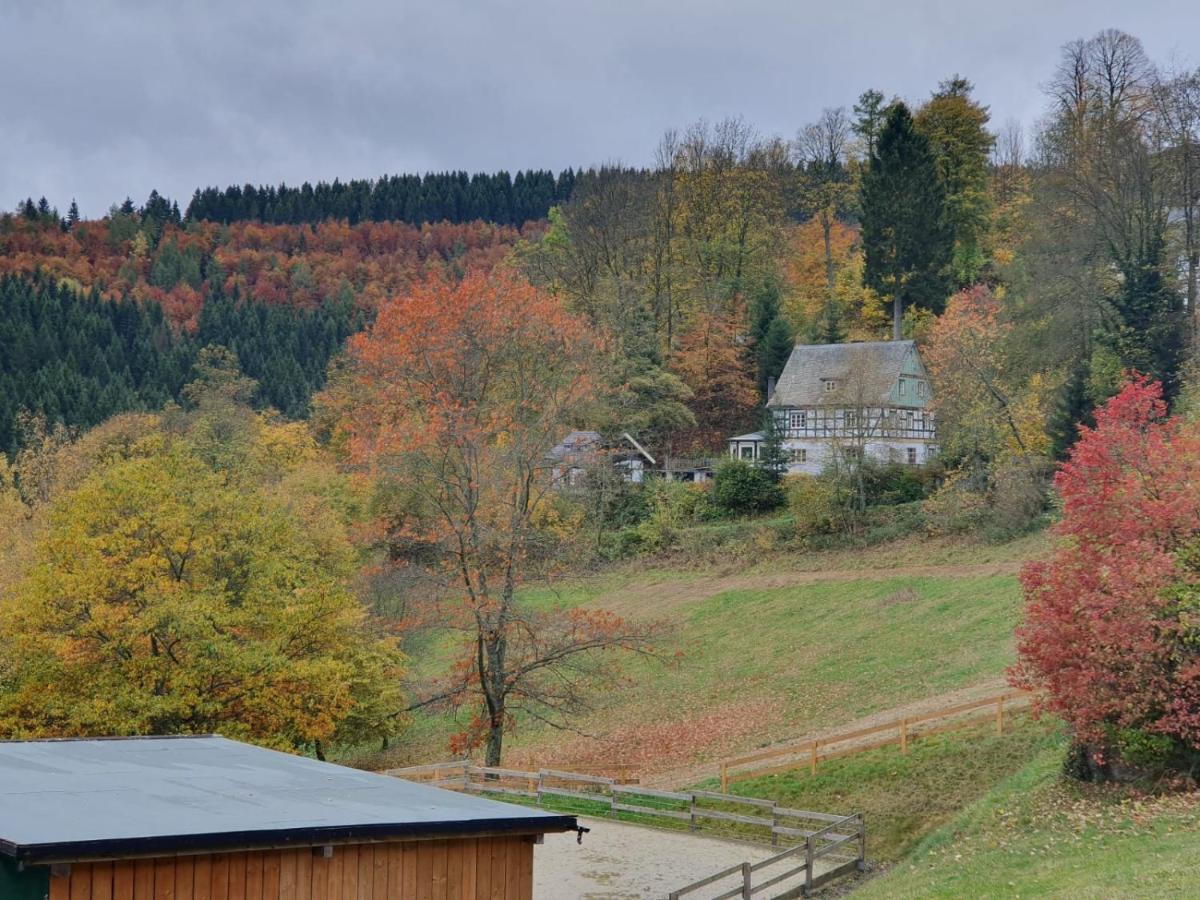 Jagthaus Am Rappelstein Villa Schmallenberg Bagian luar foto